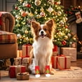 thumbnail image 3 of Festive Holiday Pet Socks Protective Wear Party Decorative Accessories for Dogs and Cats, 3 of 3