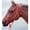 Royal Blue, variant on Miniature Poly Rope Halter Colors: Royal Blue