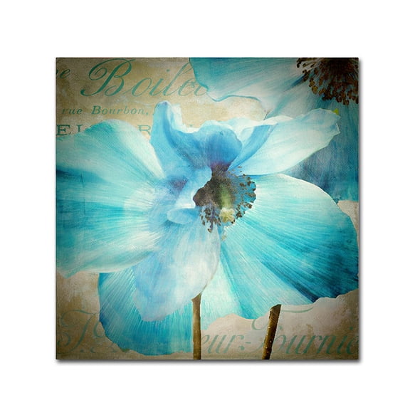 Trademark Fine Art "Himalayan Blue II" Canvas Art by Color Bakery