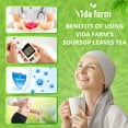thumbnail image 4 of Soursop Tea Bags, 155 Count, 100% Natural Pure Soursop Leaves, Pleasant Taste Natural Flavor, 4 of 7