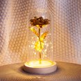 thumbnail image 5 of Eternal Rose Flower Rose Glass Dome Lámpara Led Decoración Para El Hogar Boda Navidad Día De San Valentín Methold HA027172-04, 5 of 5