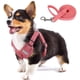 thumbnail image 1 of Arnés para perros Tejido de gamuza suave al tacto Chaleco para mascotas Arnés reflectante ajustable sin tirones para cachorros, perros pequeños y medianos Adepaton LRWJ046-11, 1 of 7