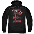 thumbnail image 1 of Batman-Pow Pow - Pull-Over à Capuche pour Adulte - Noir&44; 3X, 1 of 1
