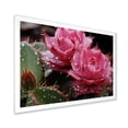 thumbnail image 2 of Designart "Blooming Pink Cactus Flowers" Floral Framed Wall Art Decor - Modern Farmhouse Pink Cactus Bedroom Framed Canvas Wall Art, 2 of 6
