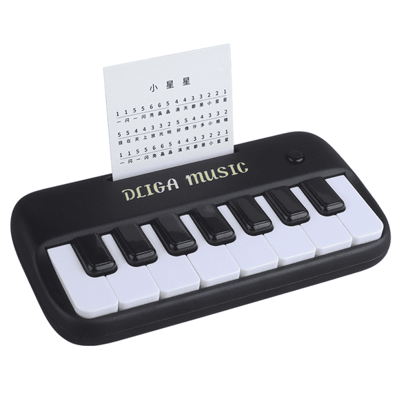 Piano Keyboard Toys Musical Instruments with Lights for Toddlers 1-3 Years Old Birthday Gifts(Black)