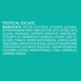 thumbnail image 6 of Jergens Shea Fusion Tropical Escape Scented Body Lotion with Shea Butter & Vitamin E for 24-Hour Moisture - 14 fl oz, 6 of 7