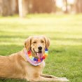 thumbnail image 3 of Pom Pom Dog Collar Collar Collar Collar de cachorros amigable para la piel Collar ajustable, 3 of 5
