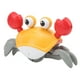 thumbnail image 2 of Cangrejo de juguete para gatear USB Recargable Interactivo Crawling Crab Toy 20-30min Operación ininterrumpida para regalo de cumpleaños para niños pequeños ANGGREK  Otros, 2 of 8