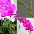 thumbnail image 6 of CoreLiving Real Touch Faux Orchid 1-Piece Branch Artificial Purple Butterfly Orchid Flower for Wedding Arch Home Decor Hotel Lobby and Office Desk Decoration, 6 of 6