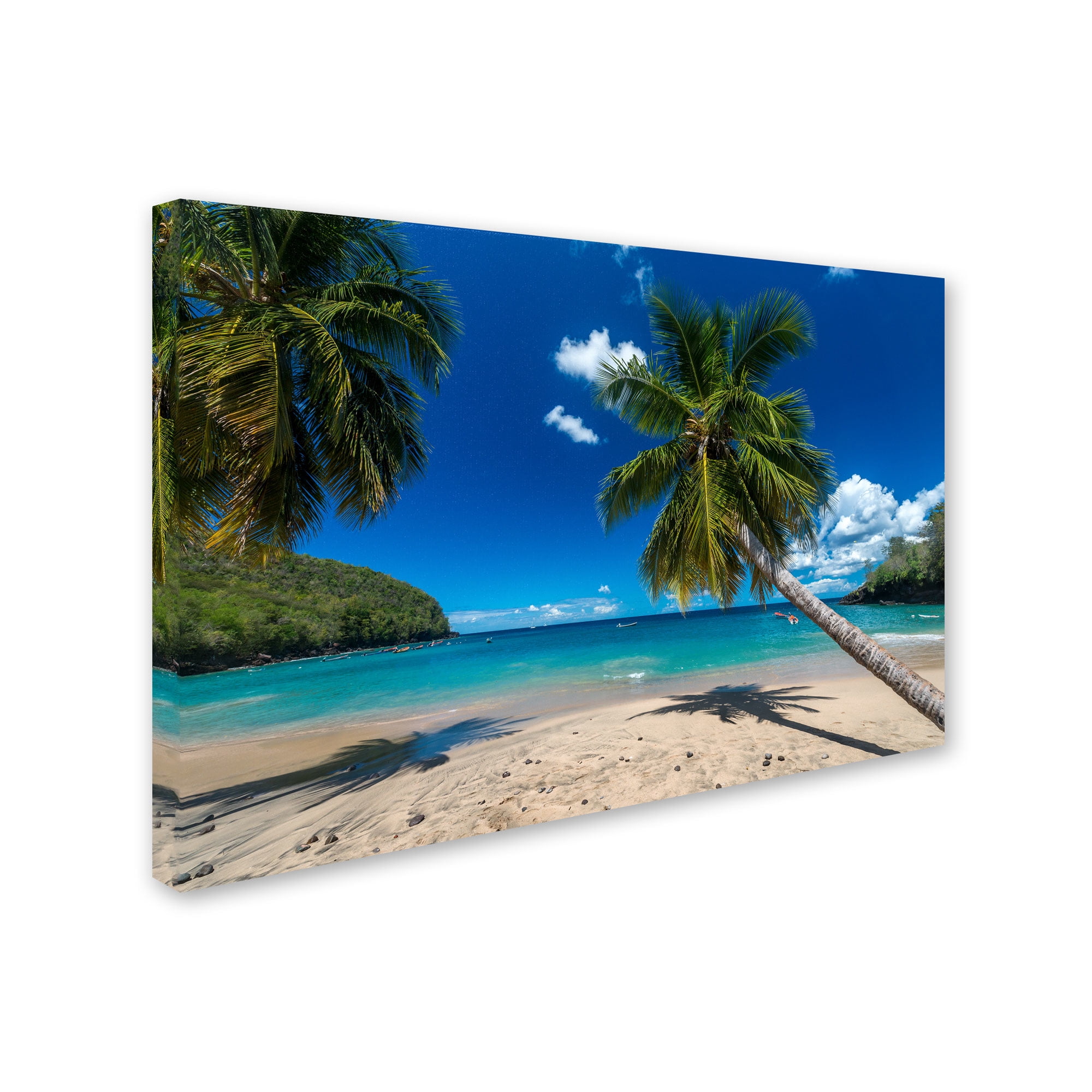 Trademark Fine Art "Martinique" Canvas Art by Mathieu Rivrin