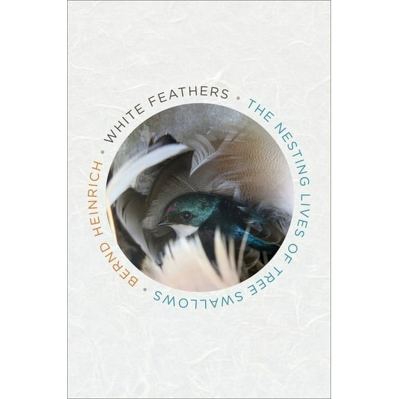 White Feathers: The Nesting Lives of Tree Swallows, (Hardcover)