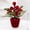 Wrapped in cloth, red fruit, green leaves 23, variant on Mini Christmas Tabletop Tree Decor, Artificial Small Potted Christmas Tree with Red Bow, Berries and Pom-poms, Velvet Pot Xmas Centerpiece for Home Table Holiday Decoration