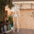 thumbnail image 4 of 2.4m/7.8ft Giant Posable Skeleton, Life-Size Halloween Decoration with Movable Joints Realistic Plastic Human Skeleton for Indoor/Outdoor Haunted House & Yard Displays (7.8FT), 4 of 10
