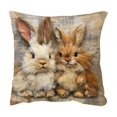 thumbnail image 2 of Spring Cute Pet Patterns Cushion Cover Soft Throw Pillow Cover For Sofa And Chair Ideal Choice For Spring Easter Sofa And Bedroom Decoration, 2 of 6
