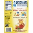 Lipton Iced Tea, Gallon Size Tea Bags (48 ct.)