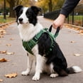 thumbnail image 3 of Adjustable Reflective Chest Strap Harness with Leash Attachment for Secure Outdoor Walking and Training Aid for Dogs and Cats, 3 of 3
