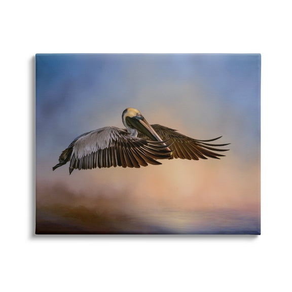 Stupell Industries Graceful Flyer Pelican Portrait Animals & Insects Photography Gallery Wrapped Canvas Print Wall Art, 30 x 24