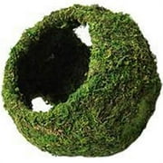 8 in. Mossy Cave with Holes - Green