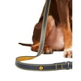 thumbnail image 2 of Rosewood Joules Leather Dog Lead, 2 of 4