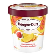 HAAGEN-DAZS Mango Raspberry Ice Cream 450 mL