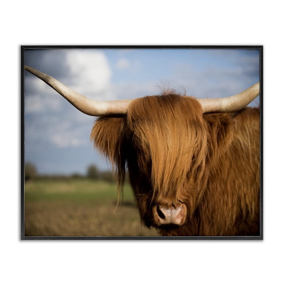 Stupell Industries Traditional Cow in Pasture Animal Landscape Photo Black Framed Giclee Art, 14 x 11, by Villager Jim