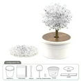 thumbnail image 2 of White Crystal Growing Tree Science Experiment Kit For Kids Magic Tree Crystal Lab Project 6.3 Inch Steam Educational Toy With Growing Powder Stirring Rod And Instruction Sheet 4-7 Days Gro, 2 of 4
