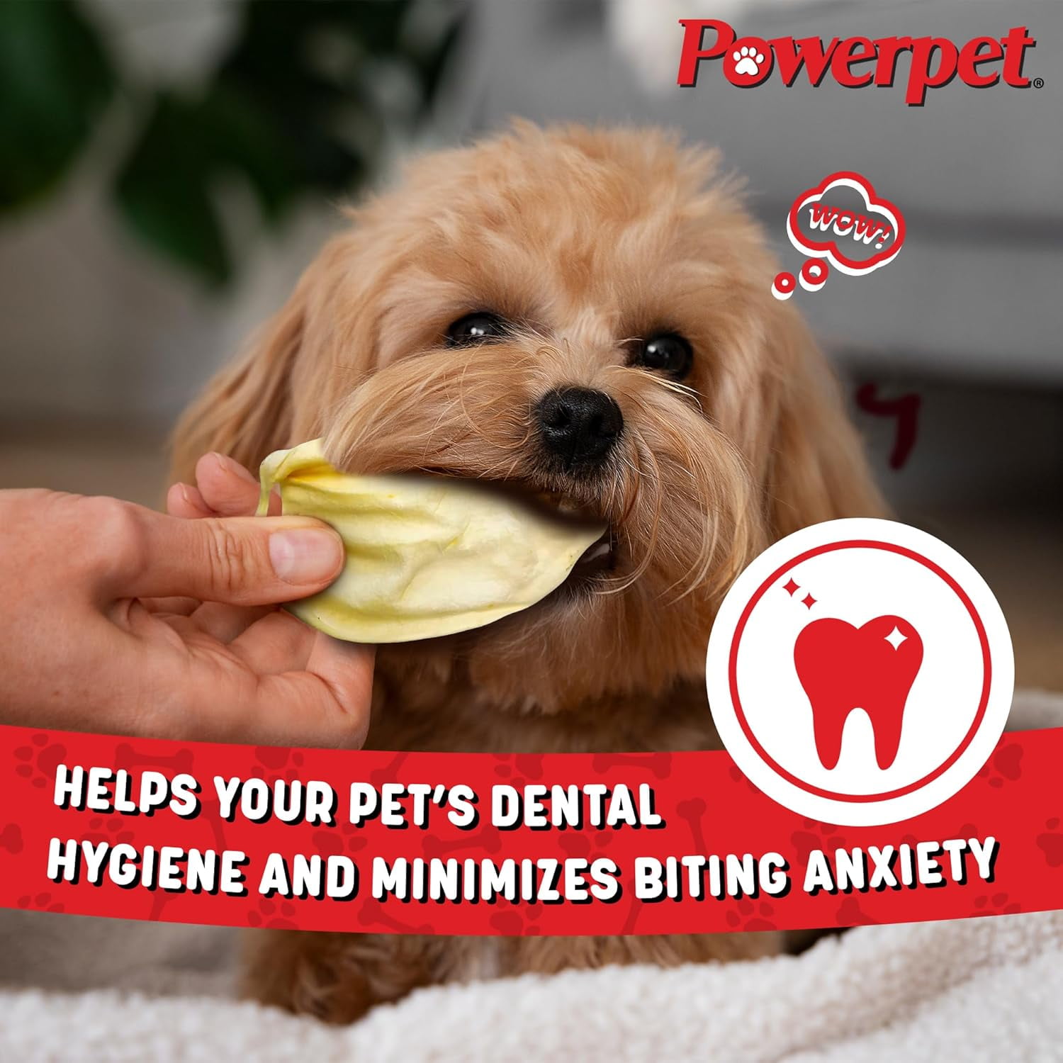 Powerpet Beef Ears, Dental Treats for Dogs - High Protein, Low Fat - 100 Pieces Bag