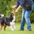 thumbnail image 4 of Bolsa de golosinas de entrenamiento para perros de lona, 1,3 L de capacidad, Bolsa multifuncional para aperitivos para mascotas al aire libre, Riñonera con bolsillo para residuos, Negro/Azul marino, 4 of 6
