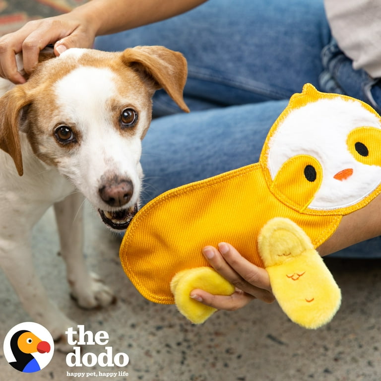 The Dodo 8 inch Nylon+ Bamboo Mix Peanut Butter Dental Dog Chew Toy, Dog Toy