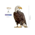 thumbnail image 2 of Hariumiu Owl Pendant Bird Repellent Sure Here's A Product Title for 1 Set Effective with Double-sided Printed Ornament Garden Patio Windowsplease Note That, 2 of 8