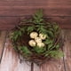 thumbnail image 4 of 1 Juego de nido de pájaro de vid, adorno de nido de ratán creativo, decoración de nido de pájaro con 5 uds. De huevos de simulación para jardín, Patio, balcón, 4 of 8