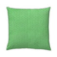 thumbnail image 1 of Ahgly Company Outdoor Square Contemporary Throw Pillow, 18 inch by 18 inch, 1 of 5