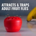 thumbnail image 3 of Terro Fruit Fly Trap, 6 Pack, 3 of 9