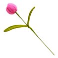 thumbnail image 1 of Flor de tulipán artificial preservada hecha a mano, terminada y hecha a mano, ideal como regalo para mujeres, amantes, aniversarios, día de la madre., 1 of 8