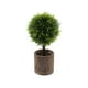 thumbnail image 2 of Artificial Green Plants Simulation Potted Home Office Hotel Lobby Decoration Green Plants Home Decoration Artificial Plants, 2 of 6