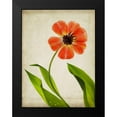 thumbnail image 2 of Stalus, Judy 19x24 Black Modern Framed Museum Art Print Titled - Parchment Flowers V, 2 of 5