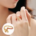 thumbnail image 2 of Anillo giratorio con diseño de caballo y dinero para mujer, año 2026, apertura ajustable, accesorios de joyería, 2 of 7