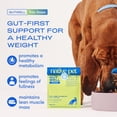 thumbnail image 2 of Adorno para comida para perros Native Pet GutWell, para bajar de peso, 60 cucharadas, 2 of 8