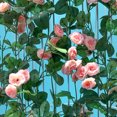 thumbnail image 4 of Gwong Decoración hogareña 36 Cabeza Seda artificial Rosa Vid Fiesta de boda Home Jardín Celebración Decoración Gwong 21029882, 4 of 7