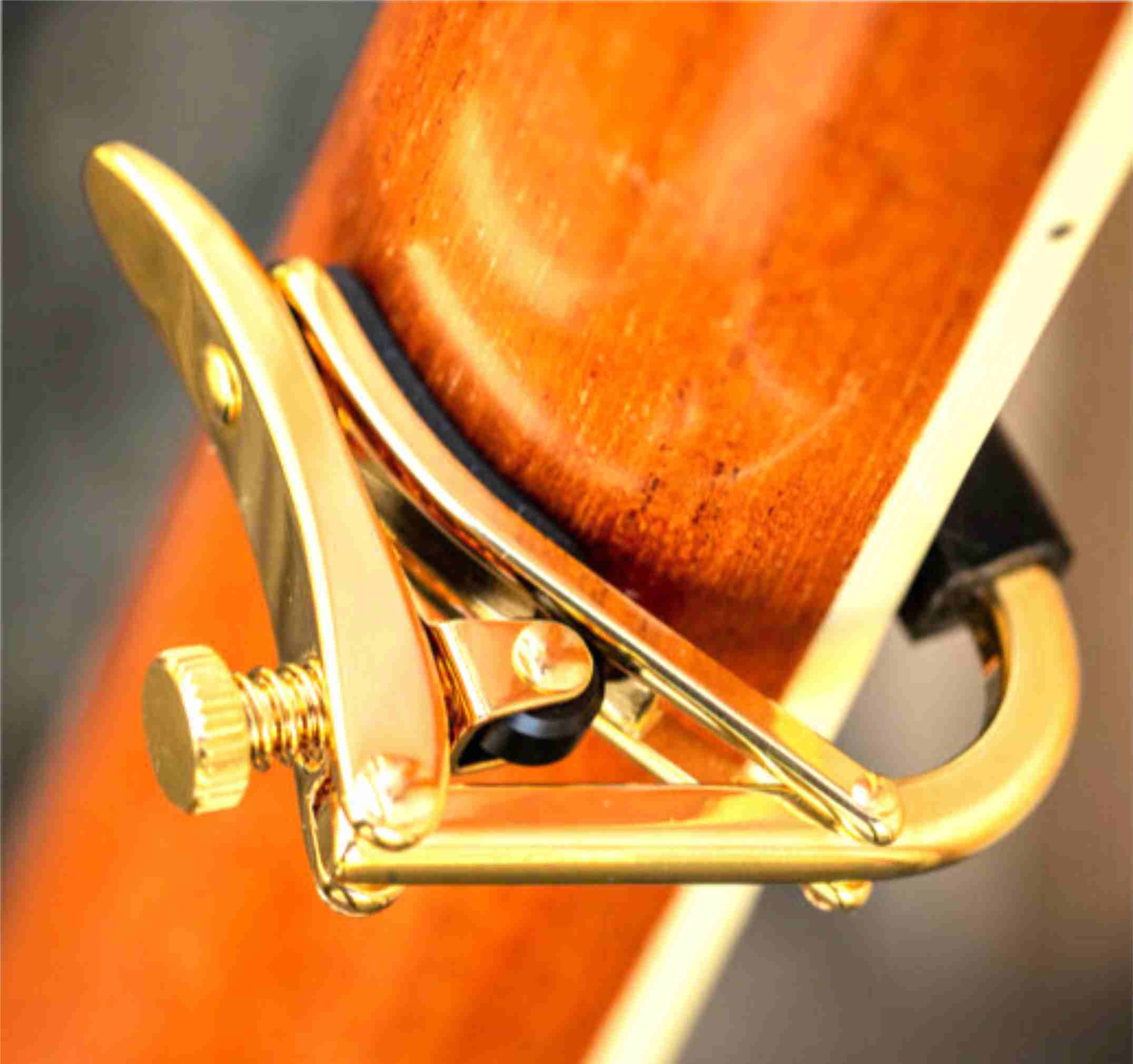 SHUBB Capo Royale for Acoustic and Electrics - Gold