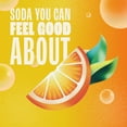 thumbnail image 4 of Zevia Zero Sugar, Orange Soda, 12 Fl Oz (Pack of 24), 4 of 4