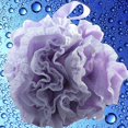 thumbnail image 3 of Set de esponja de baño de malla de encaje >> 2 exfoliantes en 1 de Shower Bouquet: Puf grande de 60 g (paquete de 4 colores): exfolie y limpie la piel con lujosos accesorios de bañ, 3 of 5
