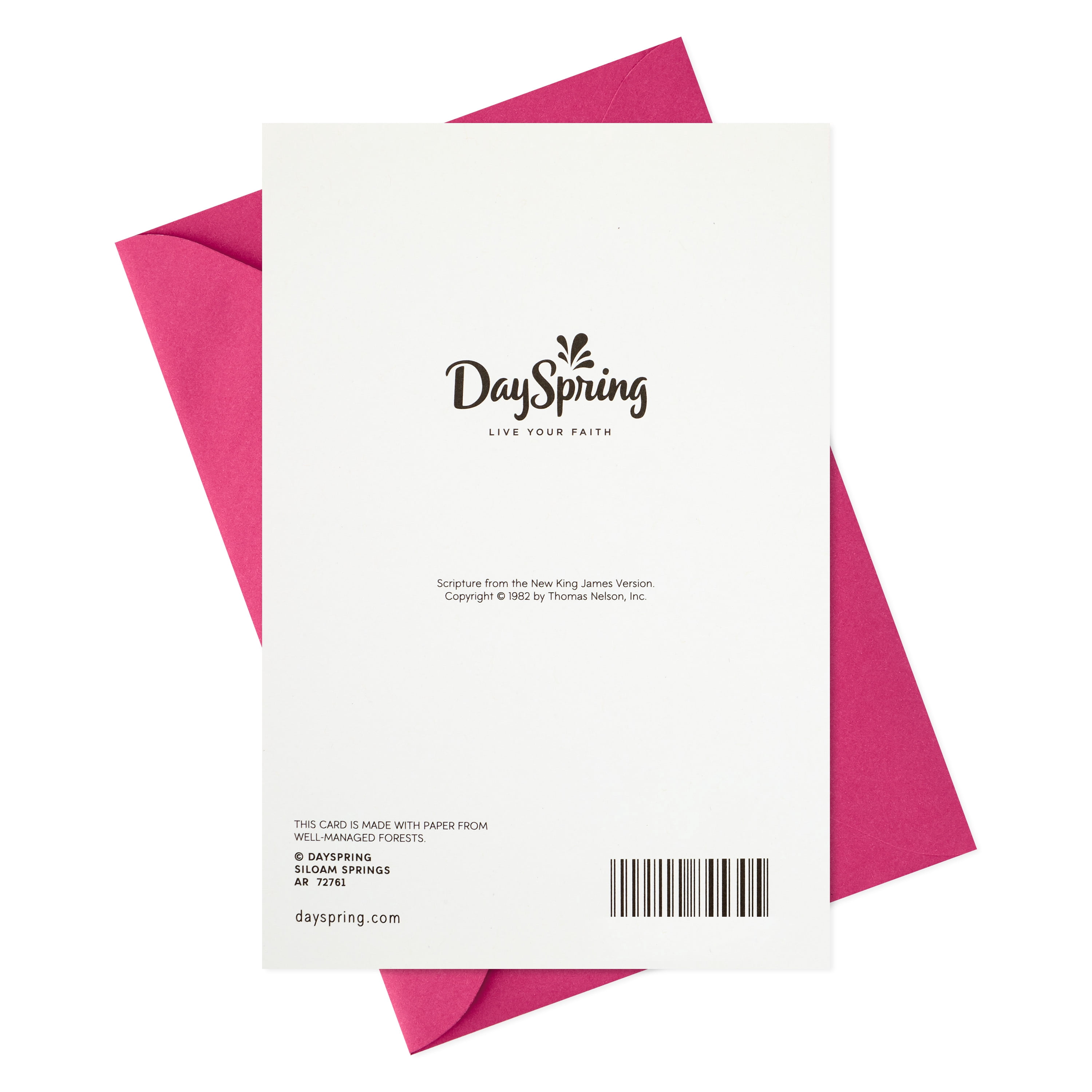 Dayspring Religious Birthday Greeting Card (Joy, Hope, Peace)