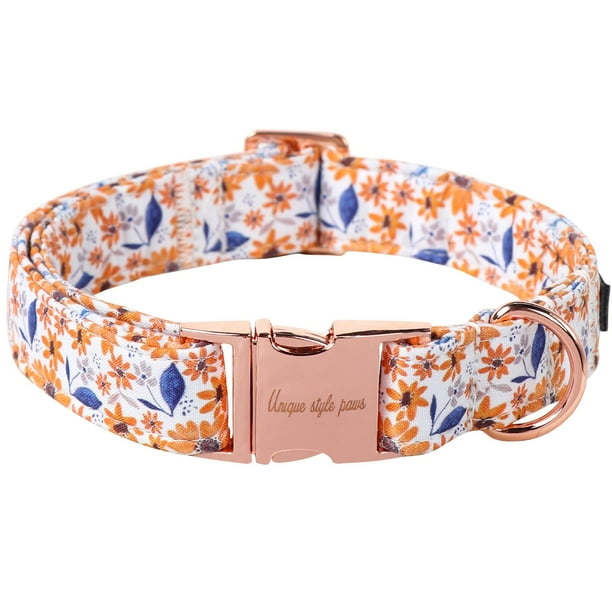 Collar para perro de estilo único con hebilla metálica ajustable