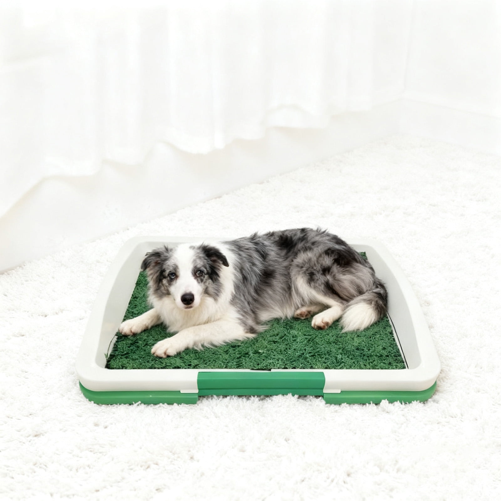 Pet Supplies Label-Free Indoor Outdoor Litter Mat with Tray and Grid for Cat and Dog—1772x122 Inches Easy Cleaning and Versatile Use