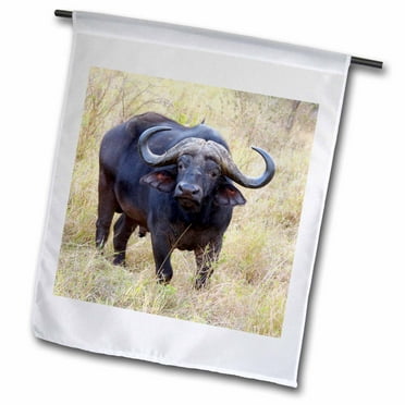 3dRose South Africa, Zulu Nyala GR, Cape Buffalo-AF42 LEN0176 - Lisa S. Engelbrecht - Garden Flag, 12 by 18-inch