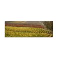 thumbnail image 2 of Gango Home Decor Vineyard by Vitaly Geyman (Printed on Paper); One 36x12in Fine Art Paper Giclee Print, 2 of 4