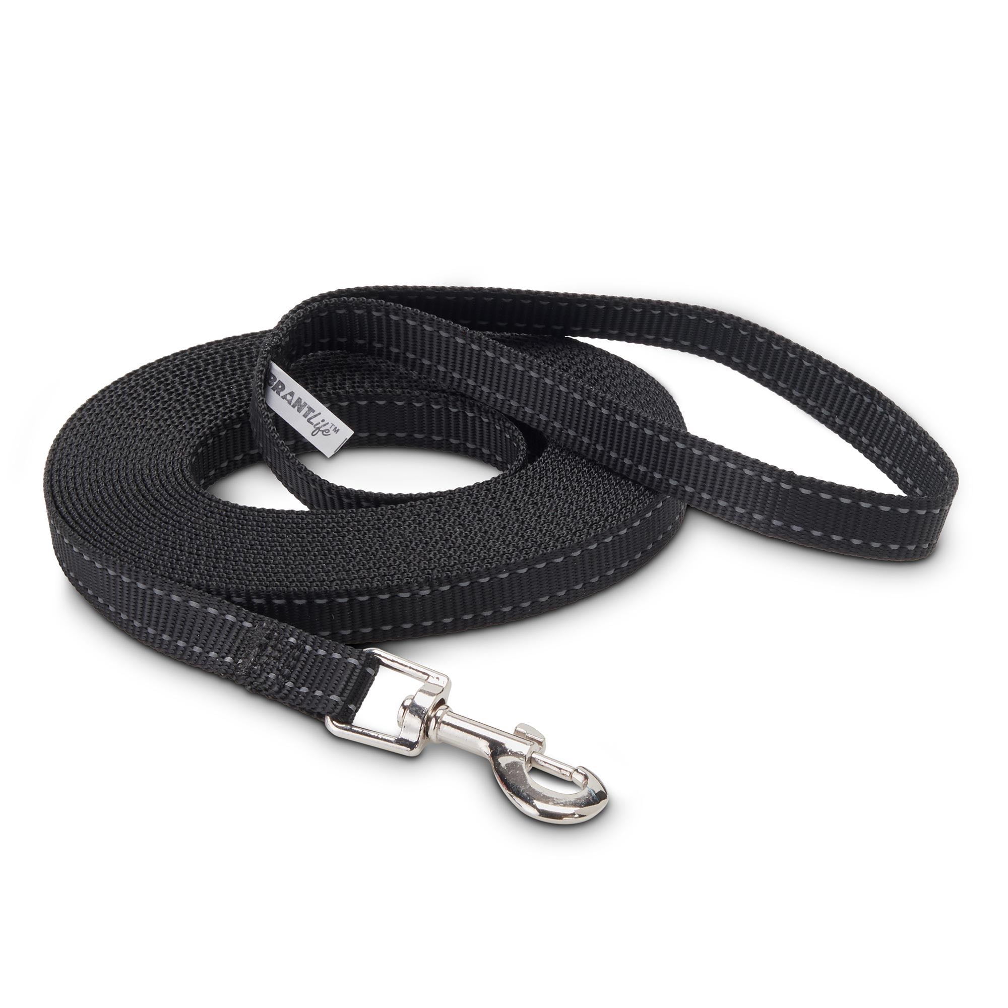 vibrant life leash