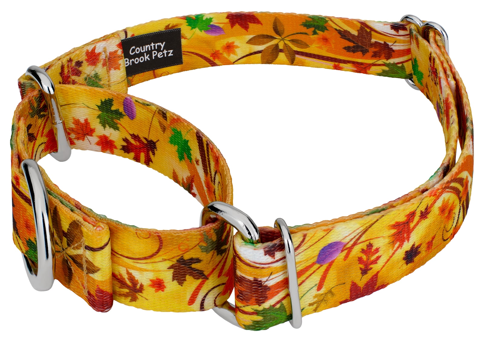 Country Brook Petz® Autumn Wind Martingale Dog Collar and Leash, Medium