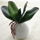 thumbnail image 5 of Arreglo de mesa con hojas de orquídea artificial grande, guirnalda floral en maceta c, 5 of 6
